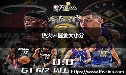 热火vs掘金大小分